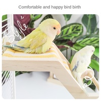 Échelle d'escalade amusante pour perroquet, jouet pour oiseaux en bois véritable, perchoir en forme de spirale, écologique, toutes saisons, jouet à mâcher anti-ennui