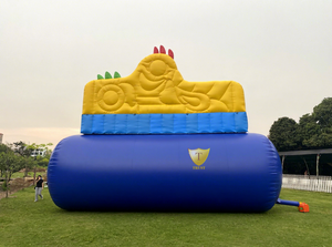 Parque Acuático Inflable con Tobogán para Uso Doméstico, Material de PVC para Niños y Adultos, Tamaño Personalizado - Product Image 4