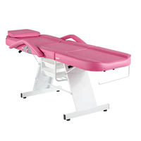 Salon de Massage Chaise de Tatouage Lit de Beauté avec Panier de Rangement Table de Massage Professionnelle Équipement de Salon de Spa pour le Visage Cire de Spa