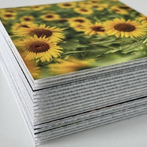 Chaîne d'approvisionnement mondiale, <span class=keywords><strong>plaque</strong></span> de feuille de <span class=keywords><strong>polypropylène</strong></span> ondulée en nid d'abeille, <span class=keywords><strong>plaque</strong></span> de feuille de <span class=keywords><strong>polypropylène</strong></span> avec service de découpe, écologique, imperméable - Product Image 3