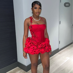 open lace back dress Adult Party Toga Costume