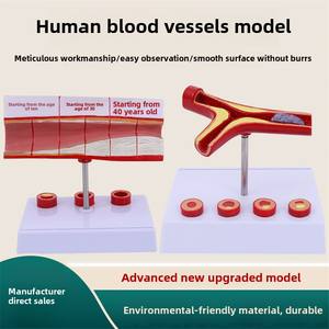 Yaşlılar İçin Deren DR Koronari Arter Kardiyovasküler Modeli Tromboz Kalp Hemşiresi Eğitimi Tıp Bilimi Sertleştirme - Product Image 5