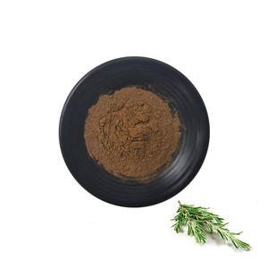 Bubuk Asam <span class=keywords><strong>Carnosic</strong></span> Ekstrak Rosemary Organik Berkualitas Tinggi - Product Image 1