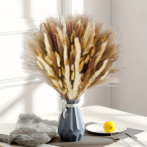 Boho pampass cỏ Bó Hoa Khô tự nhiên chi nhánh nhiều màu Fluffy pampas cỏ trang trí đám cưới trang trí nhà hoa - Product Image 5