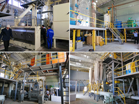 Automatische sojaboon- en eetbare olieraffinaderijmachine, 10 ton per dag, 100% zonnebloempitten en palmvruchtkernen, hoge productiviteit