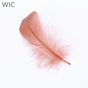 Trung Quốc Nhà Máy Giá Nhuộm/Trắng Ngỗng Xuống Lông Để Trang Trí - Product Image 4