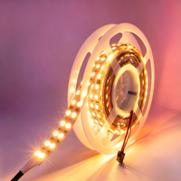 Bande lumineuse LED RGBIC WS 2811 double rangée 24V 168D Flex 5050, pleine couleur, haute luminosité, intelligente, magique, programmable, adressable