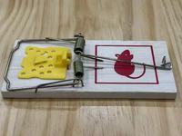 Piège à ressort en bois écologique et sans cruauté pour la lutte contre les souris et les rats, utilisation agricole, portable