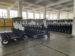 Powerful 3600w Double Motor 0 10X 11X Model High Speed Electric Scooter 2000w Offroad Dual Motor E-scooter