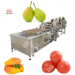 Passion Fruit Washing Drying and Sorting Machine Pitaya Fruit Washing Drying Machine Line Fruit Washing and Polishing Machine - Product Image 3