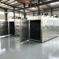 Hete-luchtcirculatie continue mesh-banddroger voor fruit, groenten, chilipepers, champignons en landbouwproducten (productielijn voor dehydratatie)