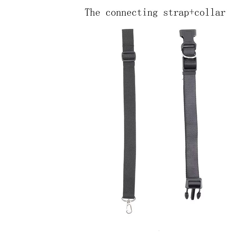 El único collar de correa de conexión