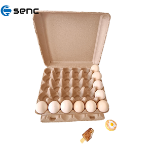 Boîte à œufs en carton <span class=keywords><strong>de</strong></span> pulpe biodégradable, couleur jaune personnalisée, lot <span class=keywords><strong>de</strong></span> 8, pour l'emballage <span class=keywords><strong>de</strong></span> supermarchés et <span class=keywords><strong>de</strong></span> fermes biologiques - Product Image 5