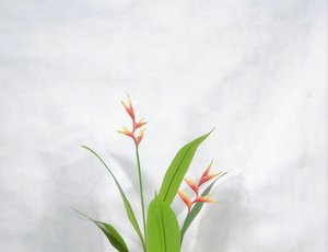 Planta Artificial Realista de Ave del Paraíso con Hojas de Plátano - Elegante Árbol Artificial para Decoración Moderna del Hogar - Product Image 2