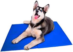 2023 neue Art Sommer kühlung für <span class=keywords><strong>Cool</strong></span> Pet Chilly Gel <span class=keywords><strong>Mat</strong></span> <span class=keywords><strong>Dog</strong></span> Ice Pad - Product Image 6