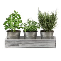 Jardinière artisanale de style campagnard, plateau en métal pour plantes de rebord de fenêtre, pots de fleurs rustiques en bois et métal galvanisé pour succulentes
