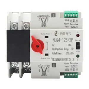 220V 100A 2P Dual power automatic transfer switch to switch uninterruptible power