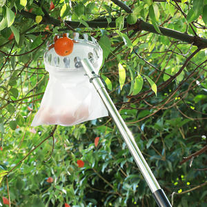 Cueilleur de fruits léger avec <span class=keywords><strong>sac</strong></span> <span class=keywords><strong>en</strong></span> <span class=keywords><strong>toile</strong></span> pour la récolte des pommes pêches mangues accessoire de jardin de qualité bricolage OEM personnalisable - Product Image 4