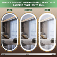 Miroir LED mural pleine longueur, cadre ovale en alliage d'aluminium, miroir de dressing pleine longueur pour chambre, salon, hôtel