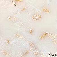 Shampooing solide naturel au riz, savon nettoyant pour cheveux fait à la main pour le bain