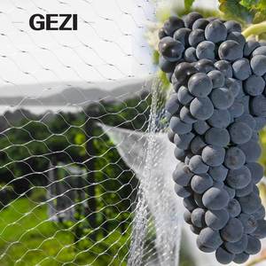 Anti Vogel Nevel <span class=keywords><strong>Net</strong></span> Anti-Vogel Gaas Kooi Vangen Onzichtbare Ss Trap Groene Hdpe Zwart Heavy Duty Nylon 10M Rs 450 Voor Het Vangen - Product Image 3