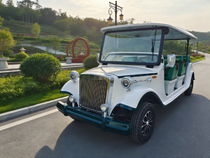 Auto Clásico Vintage de Alta y Baja Velocidad, 5-11 Asientos, Gran Autonomía, Fuerte Capacidad de Subida, Conducción Silenciosa, Batería de Litio Certificada - Product Image 1