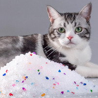 Litière pour chat en gel de silice cristallin absorbant, avec plusieurs types de parfums et indicateur de surveillance de la santé PH