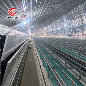 Nouvelle cage automatique pour poulets pondeuses de <span class=keywords><strong>type</strong></span> <span class=keywords><strong>A</strong></span>, en acier galvanisé à chaud argenté, durée de vie supérieure à 18 ans pour l'élevage avicole - Product Image 6