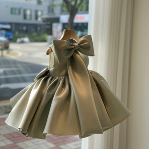 Vestito da bambina Costume da principessa per Performance di pianoforte compleanno ospite pettigonna bambina di un anno - Product Image 3