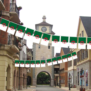 Banderines de la bandera de Argelia del fabricante al por mayor, tamaño <span class=keywords><strong>y</strong></span> patrón personalizados para decoraciones - Product Image 3