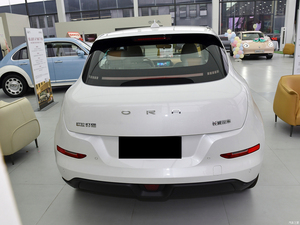 Euler Cat 2025 modelo clásico EV SUV 401km batería de litio coche eléctrico con caja de cambios automática y motor EV Vehículo de nueva energía - Product Image 6