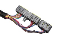 Arneses de Cableado Electrónico Personalizados con Aislamiento de PVC/Goma IP66, Ensamblaje de Cables OEM ODM para Electrodomésticos y Máquinas