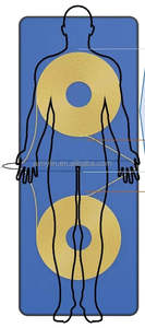 2025 yıl yeni Pemf Mat döngü manyetoterapi rehabilitasyon fiziksel Pemf manyetik terapi cihazı at - Product Image 2