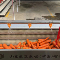Machine à laver les pommes de terre au gingembre frais Yam Manioc Carotte Patate douce Nettoyage Eplucheur Prix