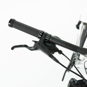 Bicicleta de Montaña Warriorpro-LT 29er de Fibra de Carbono, Directo de Fábrica, 12 Velocidades, Sistema de Transmisión M6100 M-M-M-WARRIORpro-LT de Alto Módulo - Product Image 5