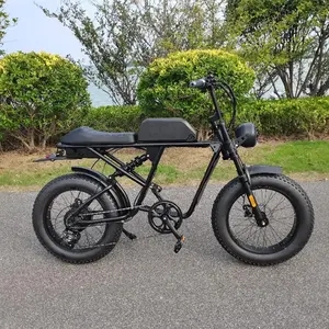 BAOGL/전기 자전거 20 인치 지방 타이어 전기 자전거 e 자전거 48 볼트 500 와트