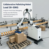 Robot Colaborativo Industrial para Paletización, Solución Automatizada para la Manipulación en la Producción de Alimentos