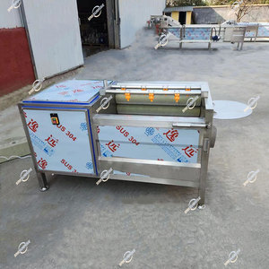 Con lăn bàn chải rau sạch mùa đông dưa Napa bắp cải nước tái chế máy giặt - Product Image 5