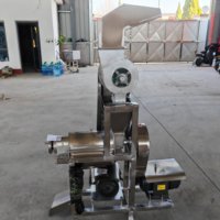 Hoge productiviteit blauwe bessen en kurkuma fruitverwerkingsinstallatie sapcentrifuge 304 roestvrij staal uienschroefpers