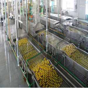 Full Drupe Plum Fruit <b>Juicer</b> Production Line Making Machine Fruit Production Line - Product Image 5