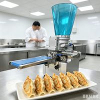 Machine semi-automatique pour la fabrication de dumplings/tortillas, machine à faire des gyoza japonais