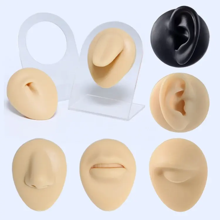 Simulation Human Body Part Silicone Piercing Model Jewelry Display Set For Body Piercing Tattoo Puncture Practice