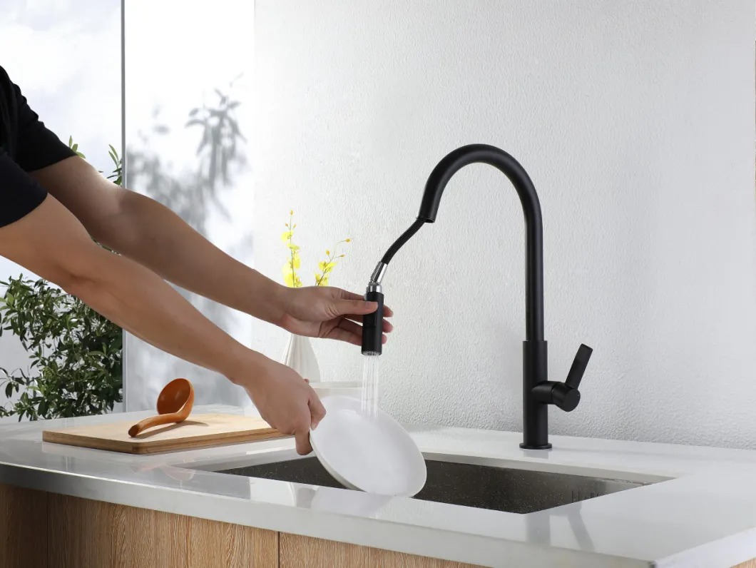 Black Color Brass Slim U Shape Spout Pull Out Kitchen Water Tap