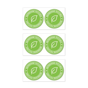 HODAF OEM ODM  Canlılık Besleyici Kilo Verme Vegan Berberin Bantları Transdermal Kol Yağı Azaltıcı Bantlar 30 Adet/Paket - Product Image 5
