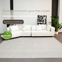 Tapis de salon exclusif transfrontalier, sans colle, imperméable, résistant aux taches, moderne, minimaliste, d'inspiration italienne, luxe léger