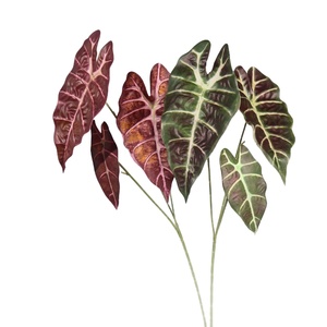 Venta al por Mayor <span class=keywords><strong>de</strong></span> Tallos <span class=keywords><strong>de</strong></span> Vegetación Tropical Artificial, Hojas <span class=keywords><strong>de</strong></span> <span class=keywords><strong>Alocasia</strong></span>, <span class=keywords><strong>Oreja</strong></span> <span class=keywords><strong>de</strong></span> <span class=keywords><strong>Elefante</strong></span>, Calathea y Taro, Colores Mixtos, Decoración para el Hogar, Centro <span class=keywords><strong>de</strong></span> Mesa - Product Image 5