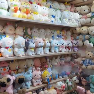 Fabrika Fiyatı 4-8 İnç Anime Çizgi Film Sevimli Peluş Kolye Yumuşak Peluş Pençe Makinesi Oyuncakları - Product Image 5