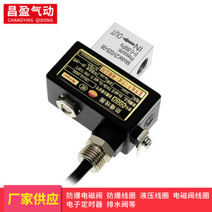 Válvula Solenoide a Prueba de Explosiones Changying Qidong 0980 0981 DC24V AC220V 0.8MPa para Uso Industrial - Product Image 2