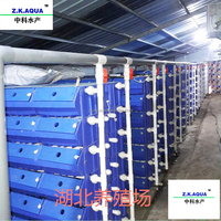 Système de cage en pot pour crabe d'aquaculture Système d'engraissement pour crabe vivant Boîte d'engraissement Système RAS pour l'agriculture verticale