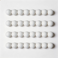 Balles de tennis de table blanches en ABS sans couture de 40 mm, qualité compétition durable, utilisation du logo du client, OEM blanc